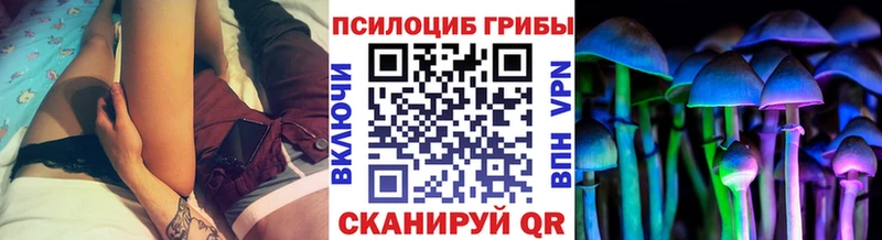 Галлюциногенные грибы Psilocybe  продажа наркотиков  Нижние Серги 